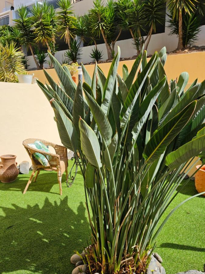 New Holiday Home Beautiful Sea View With Aircon, Costa Adeje Costa Adeje  Extérieur photo